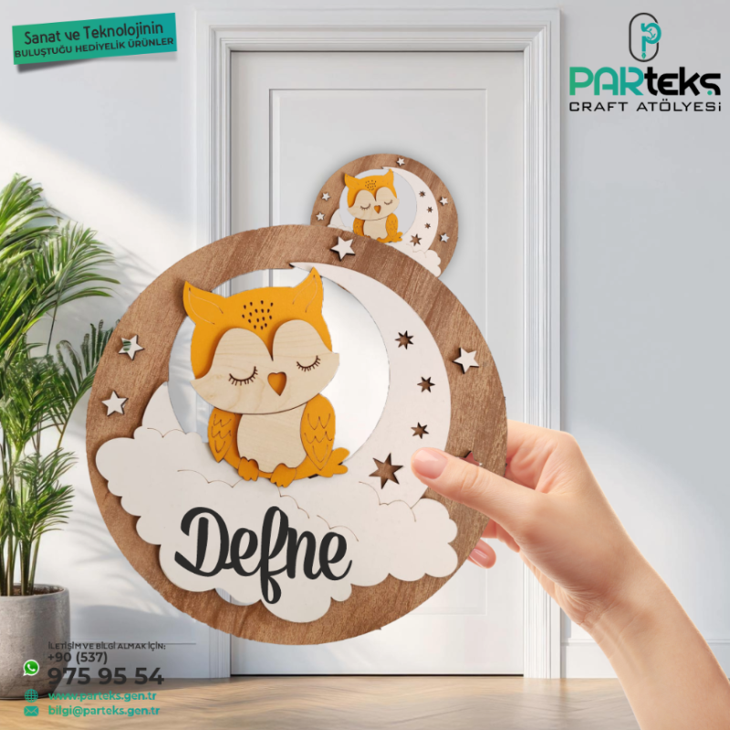 Baykuş Temalı Kapı İsimliği